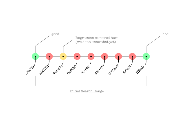 Bisect Process